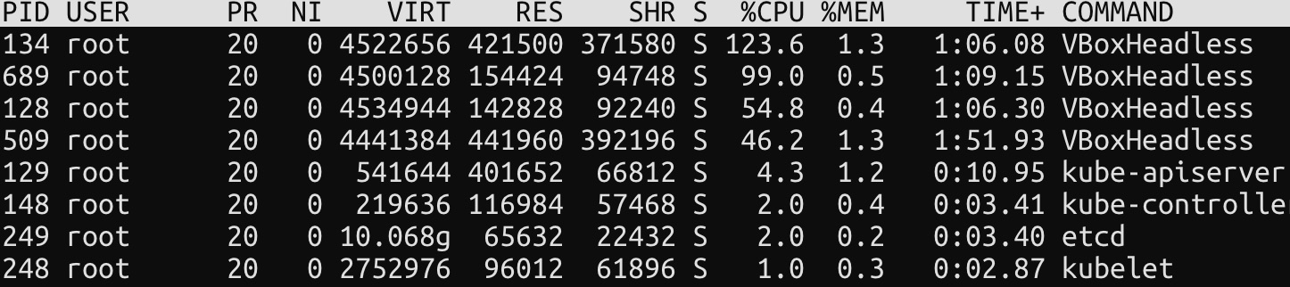 Top command on the master node